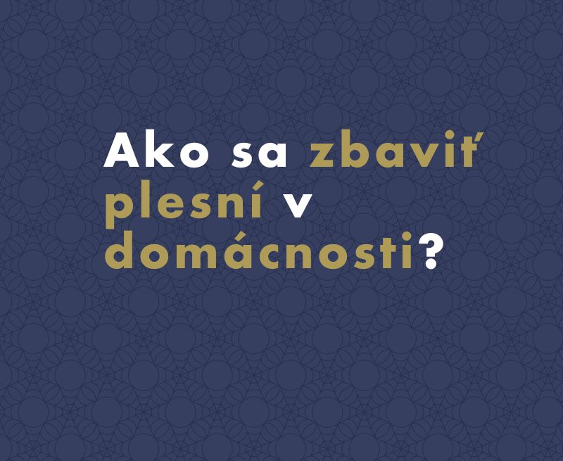 Ako sa zbaviť plesne: Ako odstrániť pleseň nielen zo steny