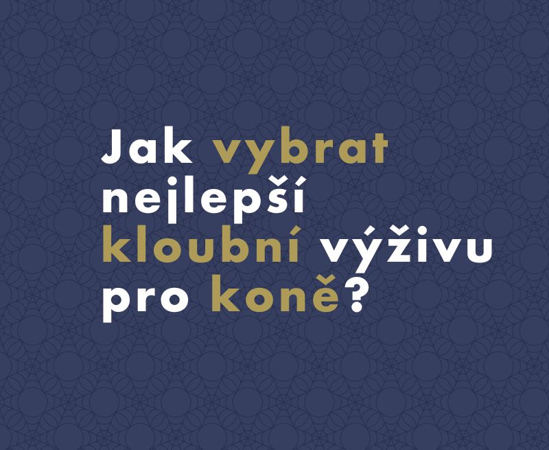 Jak vybrat nejlepší kloubní výživu pro koně