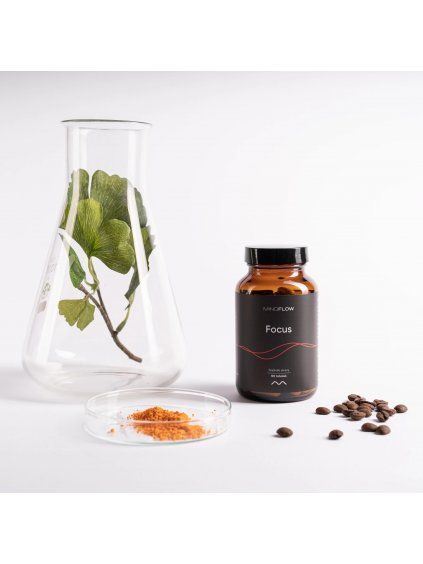Mindflow Focus 90 tobolek