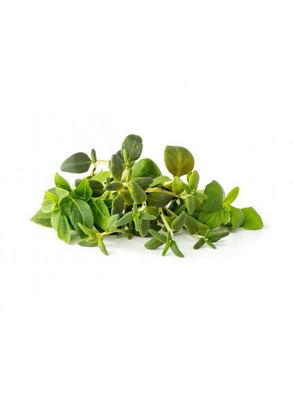Sada 9 kapslí pro chytré květináče Click & Grow - mix italských bylin
