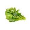 GreenSaladMix1200x960px