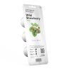 Wild strawberry 3pack whitebg 258937fc b9f6 4006 b8a4 4e3c2486698e 1200x