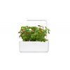 SG3 white strawberry 1200x628 731b17e6 de82 465e 81e1 3ed674dc539a 1200x