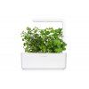 Peppermint SG3 1200x