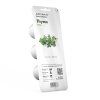 Thyme 3pack whitebg 1200x