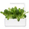 SG3 Romaine Lettuce White 1200x1200 a9ca2093 3faf 4928 870f 65aa920d00f4 1200x