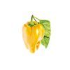 yellow sweet pepper 1200x960 1200x