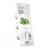 Green Lettuce 3pack whitebg 1200x